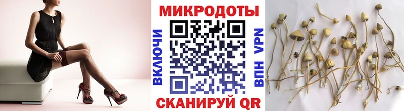 Галлюциногенные грибы Cubensis  Купить где  Верхний Тагил 